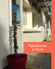 2026-04_Végétalisation de lecole.png