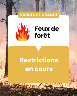 2026-07_feux de forêt.png