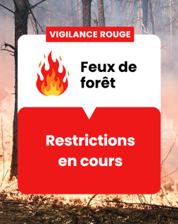 2026-08_Vigilance rouge feux de foret.png