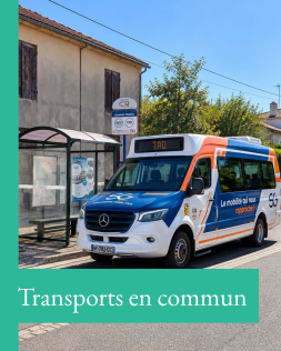 2026-10_Transports en commun (1).png 2026-10_Transports en commun (1).png