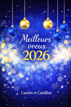 Voeux 2026 portrait.png